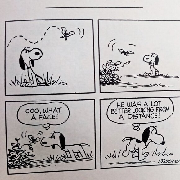 Nice Vintage Hardcover Edition of the Peanuts Book Go Fly a Kite, Charlie Brown - Picture 14 of 16